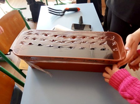 ̳,    :       STEM 