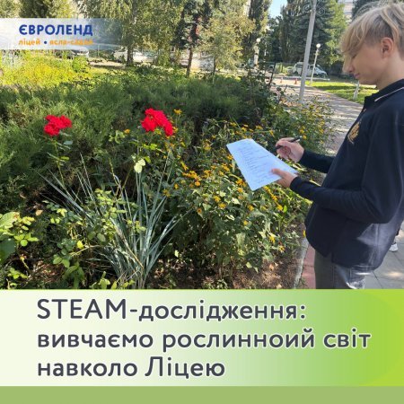 STEAM- :      
