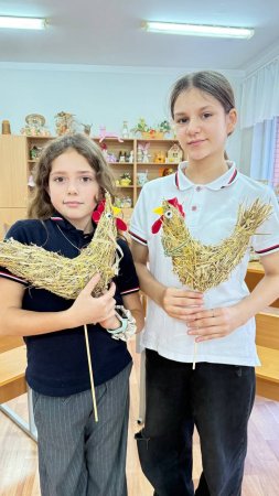 STEM-  6-8 :    