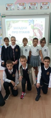 STEM-,   :     1-4 . 