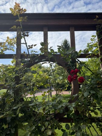 ������� ����������, ������ �� STEM � ��� ���������