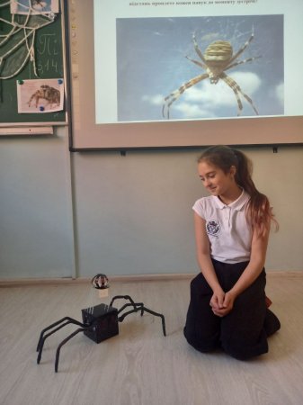 ���������� ������� � ˳�� �������� ������������: ��������� ����������� ��� 5�6 �����