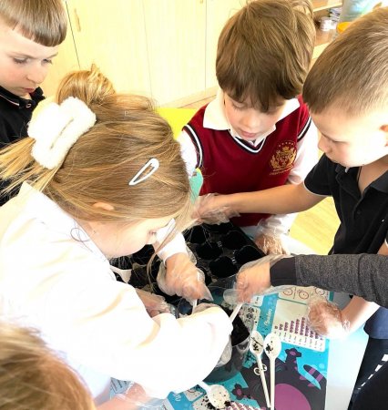 ���� ���� � 2-� ���� ˳��� ���������