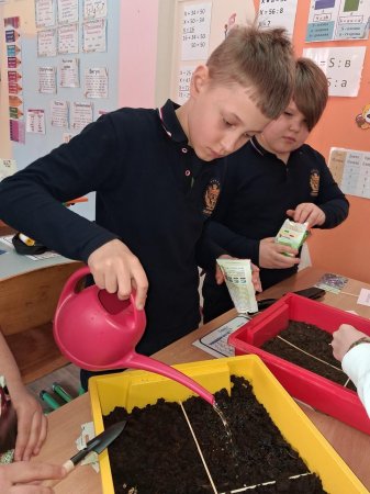 STEM-���� � ��������� ����: ���� ���� 