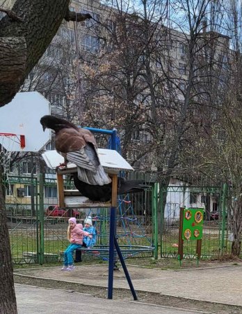 ���� ������ � 1-� ���� ˳��� ��������� � ����������, ������ �� ��-�������!